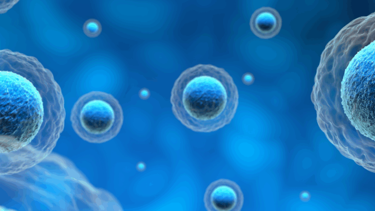 Innovación regenerativa: el potencial de la tecnología Rigenera en la medicina costarricense